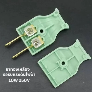 10A/ 250V ปลั๊กตัวผู้ 2 ขาแบน ตัวผู้ ปลั๊กตัวเมีย ปลั๊กแปลง หัวแปลง ขาปลั๊ก ตัวเมีย หัวแปลงขาปลั๊ก