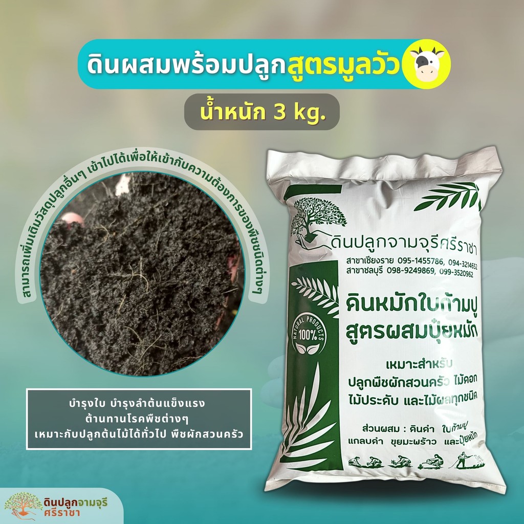 ดินผสมใบก้ามปูสูตรขี้วัวบด (น้ำหนัก 3 kg.) พร้อมใช้งาน (กรุณาสั่งสินค้าไม่เกิน 5 ถุง/ 1 ออเดอร์นะคะ)