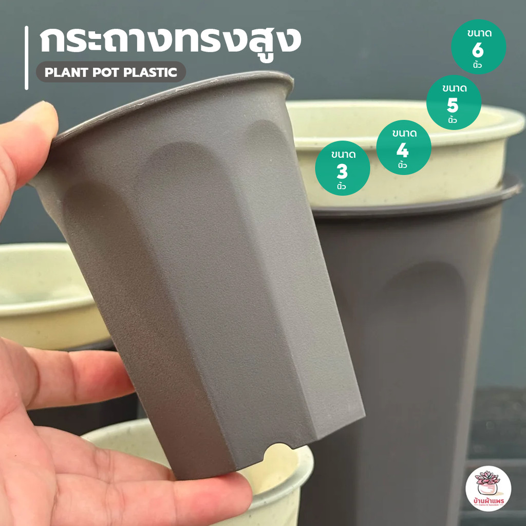 กระถางทรงสูง 3 นิ้ว - 6 นิ้ว [ XW001 - XW004 ] กระถางพลาสติก แคคตัส กระบองเพชร ไม้อวบน้ำ Cactus&Succulent