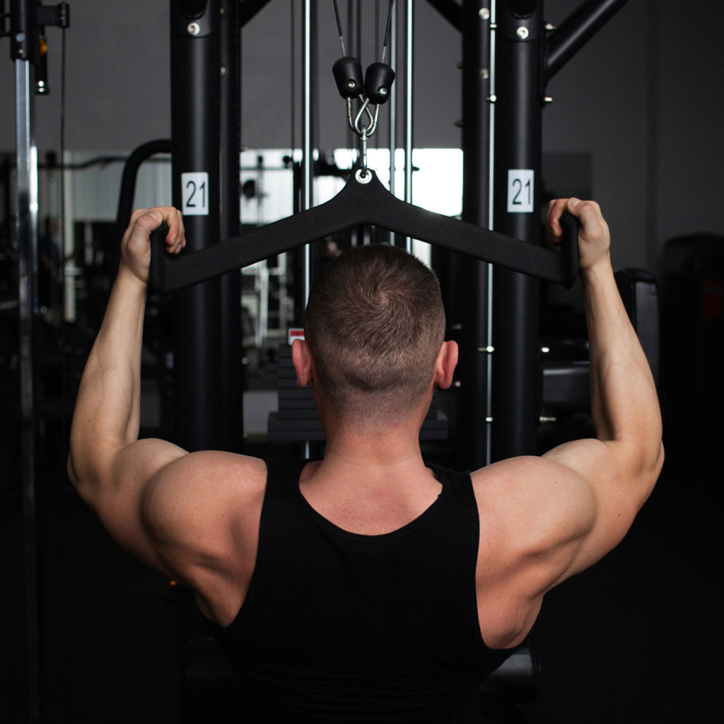 ข้อเสนอที่ดีที่สุด Home Gym Fitness Rowing T-Bar V-Bar, Back Strength Training Handle Grip Pull-Down