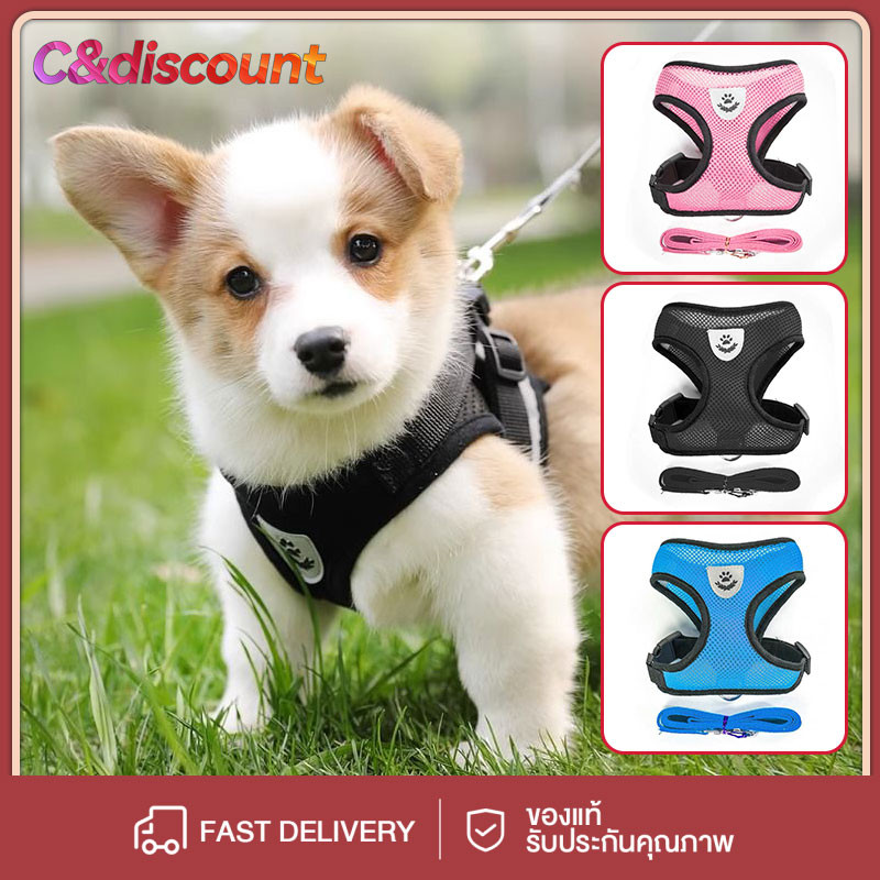 CDiscount สายจูงแบบเสื้อกั๊ก, สายจูงสุนัข, เชือกแมว, สายจูงสัตว์เลี้ยง