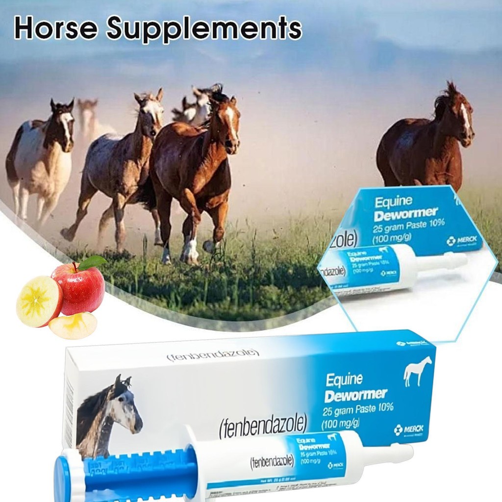 Equine Dewormer 25g Equine Paste Dewormer ลําไส้ Wellness อาหารเสริมรสผลไม้ Oral Wormer สําหรับปศุสัตว์ profatth