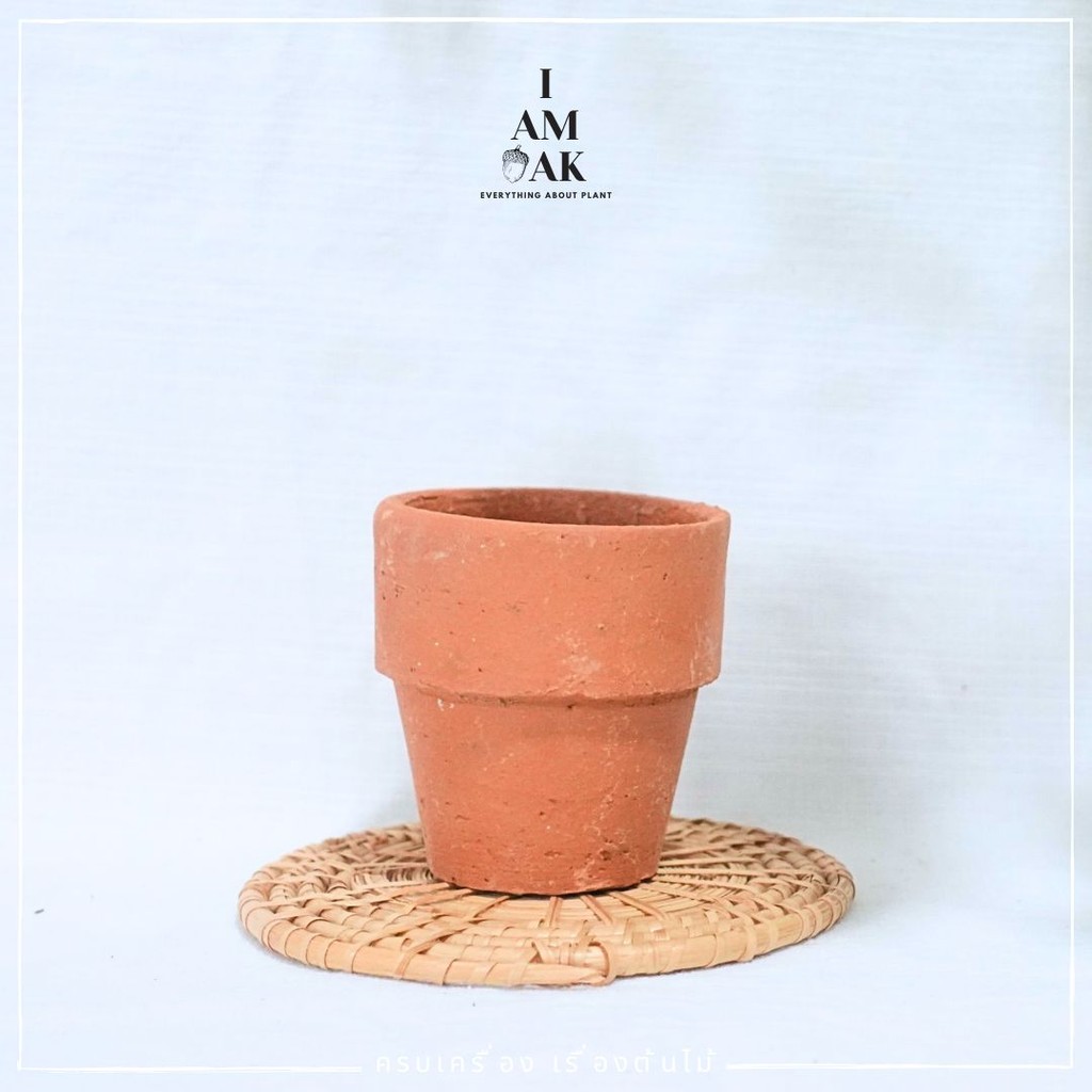 มุมมอง 2