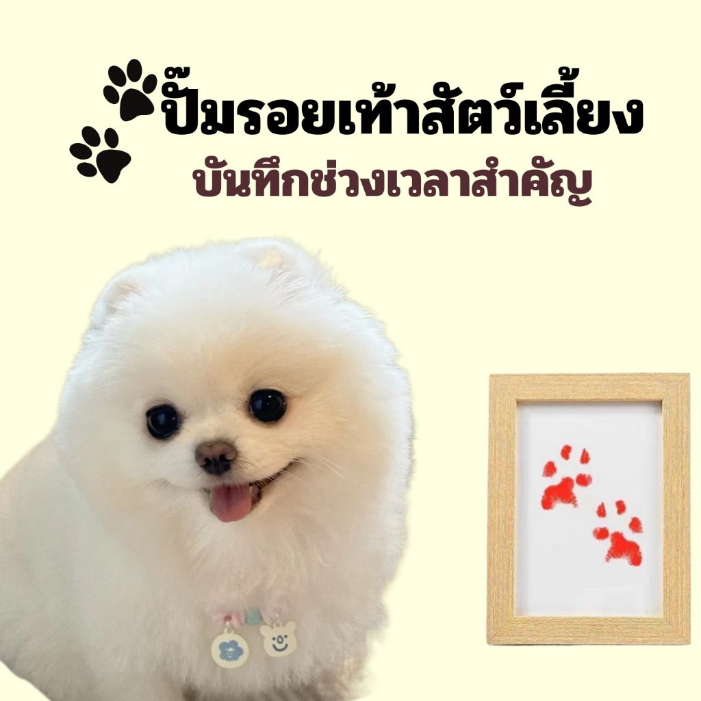 Shoo ปั๊มรอยเท้าสัตว์เลี้ยง บันทึกช่วงเวลาสำคัญ พร้อมส่ง