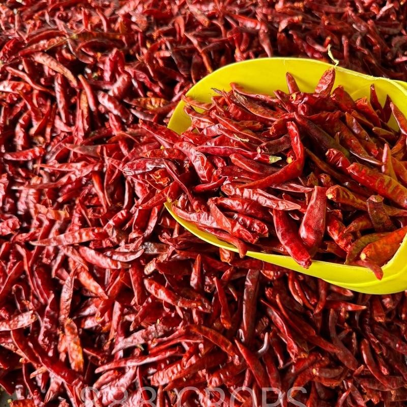 พริกแห้งจินดา เด็ดก้าน 1 กิโลกรัม พริกฤดูกาลใหม่ เผ็ดร้อน โดนใจ แพ็คประหยัดเพื่อพ่อค้าแม่ค้า