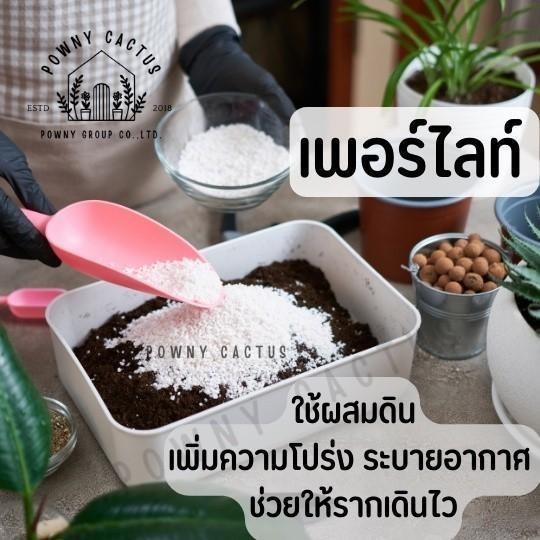 เพอร์ไลท์ 4-8มม. แบ่งขาย ราคาถูก Perlite 4-8mm dust less