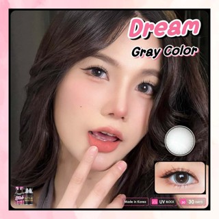 🔥 คอนแทคเลนส์💗ขนาดบิ๊กอาย💗 Dream (Wink) สี : brown / gray