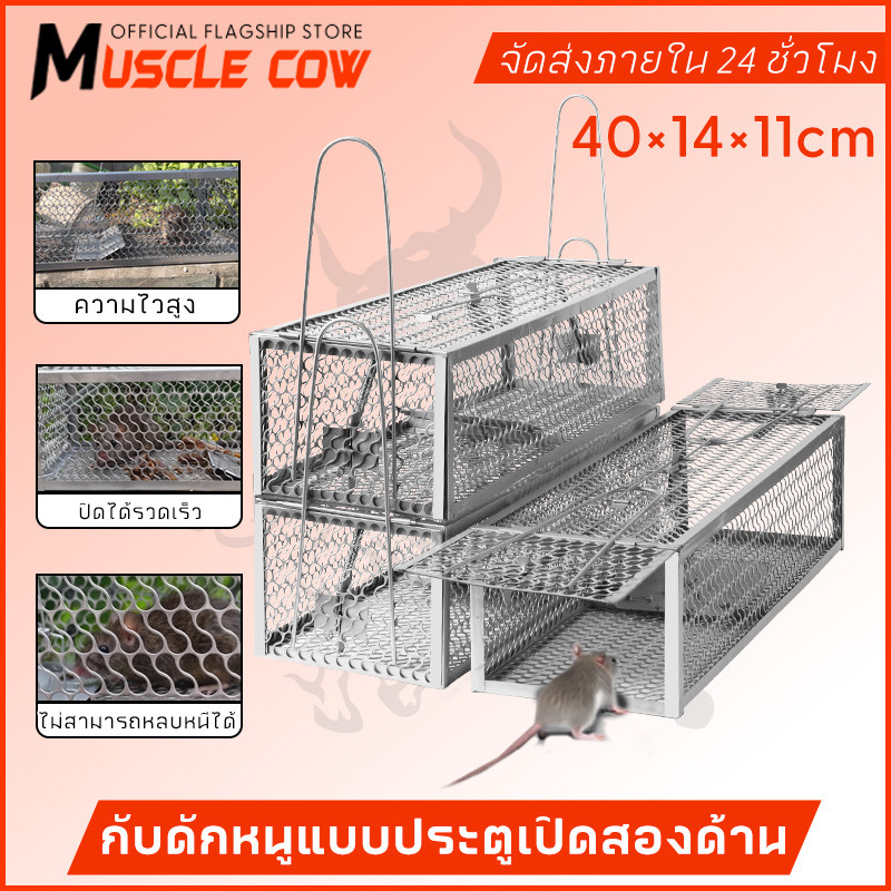 MUSCLE COW ขายร้อนใหม่ กรงดักหนูสปริงคุณภาพสูง กรงดักหนูสองประตู กรอบหนา กรงดักหนูพร้อมกรอบ กรงดักหนูสปริงคู่ กรงดักหนูฟ