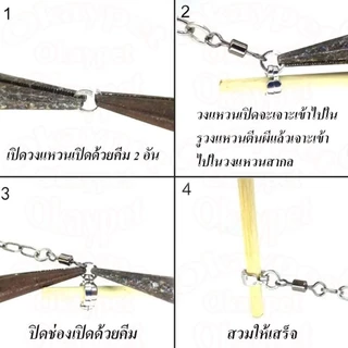 โซ่คล้องขานกสแตนเลส โซ่นก สายยืดคล้องขานก ห่วงเปิดนก นกแก้ว ฟอพัส หงษ์หยก เลิฟเบิร์ ห่วงขานกแก้ว