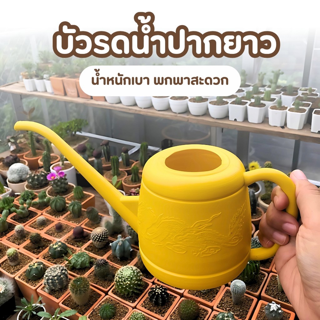 บัวรดน้ำ บัวรดน้ำต้นไม้มินิ บัวรดน้ำแคตตัส ปากยาว ขนาด 1 L.อ่อนโยนต่อพืช พลาสติกเหนียว