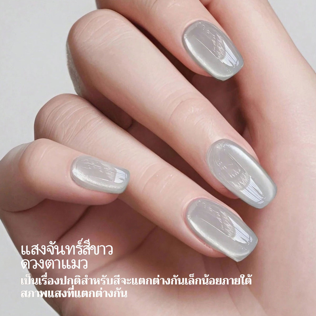 รูปภาพ 4