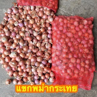 หอมแขกพม่า ไซส์กระเทย น้ำหนัก 5 กิโลกรัม