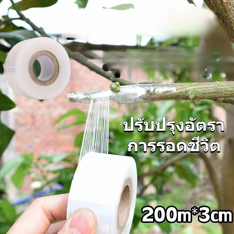 3cmx200m เทปพันกิ่งไม้ อุปกรณ์ทำสวน เทปพันตอนกิ่ง อุปกรณ์การเกษตร เทปพันกิ่งทาบ พลาสติกทาบกิ่ง เทปติดตาต้นไม้ฟิล์มยืด