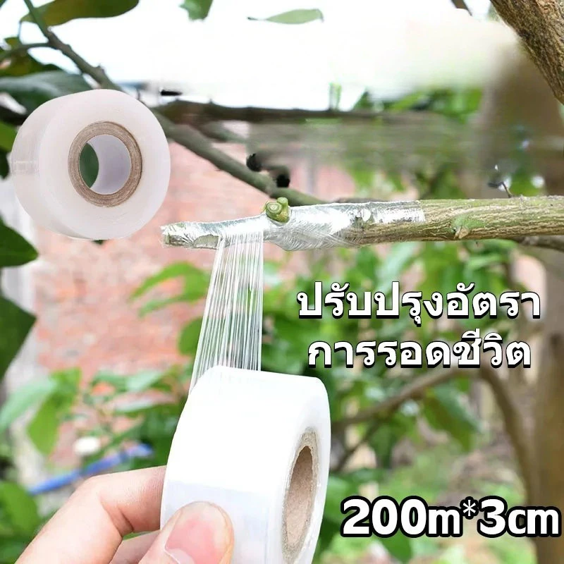 3cmx200m เทปพันกิ่งไม้ อุปกรณ์ทำสวน เทปพันตอนกิ่ง อุปกรณ์การเกษตร เทปพันกิ่งทาบ พลาสติกทาบกิ่ง เทปติดตาต้นไม้ฟิล์มยืด