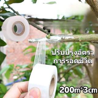 3cmx200m เทปพันกิ่งไม้ อุปกรณ์ทำสวน เทปพันตอนกิ่ง อุปกรณ์การเกษตร เทปพันกิ่งทาบ พลาสติกทาบกิ่ง เทปติดตาต้นไม้ฟิล์มยืด