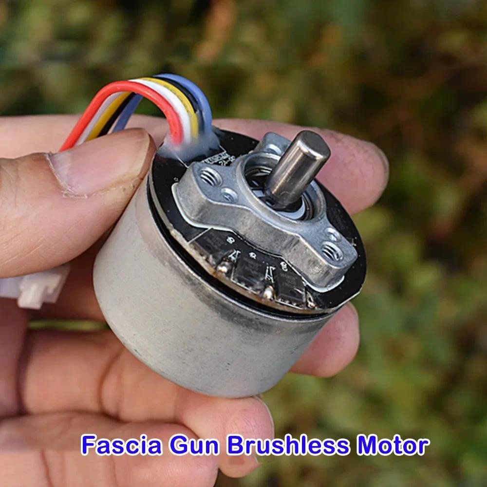 DC12V เมมเบรนเสริม Spear มอเตอร์ไร้แปรง TY3816B Micro รองรับไปข้างหน้าและย้อนกลับ PWM มอเตอร์ควบคุมความเร็ว ราคา ถูกที่สุด ดีลบีเคเค แกลเลอรีภาพที่ 6
