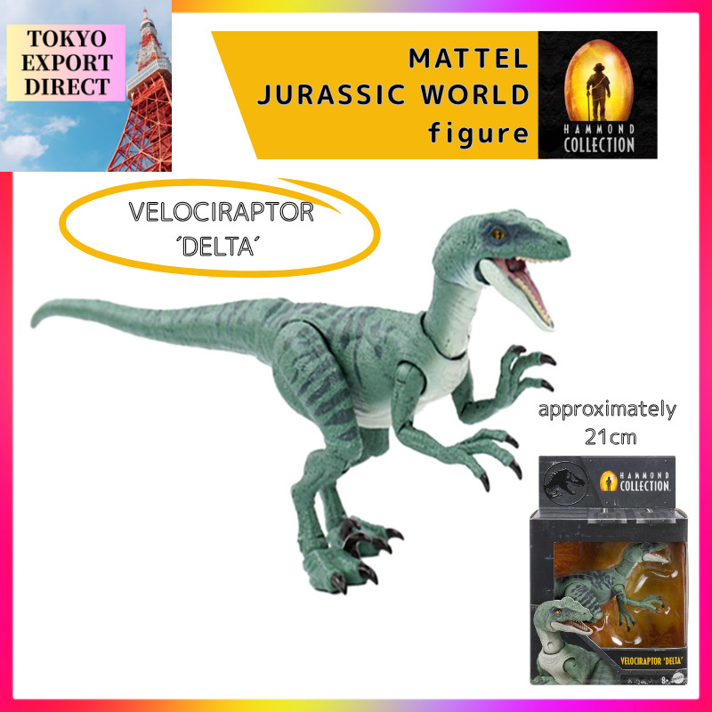 Mattel Jurassic World Hammond Collection Velociraptor Delta Kids Figure Dinosaur Toy Length: Approxi