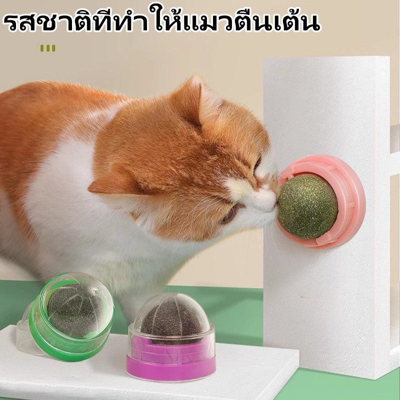 แคทนิปบอล Catnip Ball กัญชาแมว ขนมแมว ของเล่นแมวเลีย แปะกำแพง ball herb 🔥 พร้อมส่ง 🔥