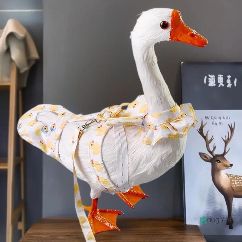 เอริงโยฮิ] การ์ตูนน่ารักปรับสัตว์เลี้ยงห่านไก่เป็ดผ้าอ้อม น่ารัก เชือกลากสายรัดหน้าอกห่านสายรัดกลางแจ้งอุปกรณ์สัตว์เลี้ยงใ