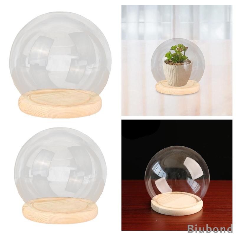[Biubond] Glass Dome Cloche Glass Display Shop Window Terrarium Glass Ball Cover Stand สําหรับ