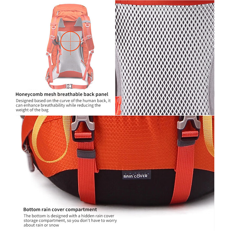 รูปภาพ 6