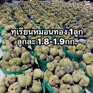 ทุเรียนภูเขาไฟศรีสะเกษ ขนาด 8 ขีด - 1.8 กิโลกรัม หวานหอมเนื้อนุ่มคัดพรีเมียมAAA
