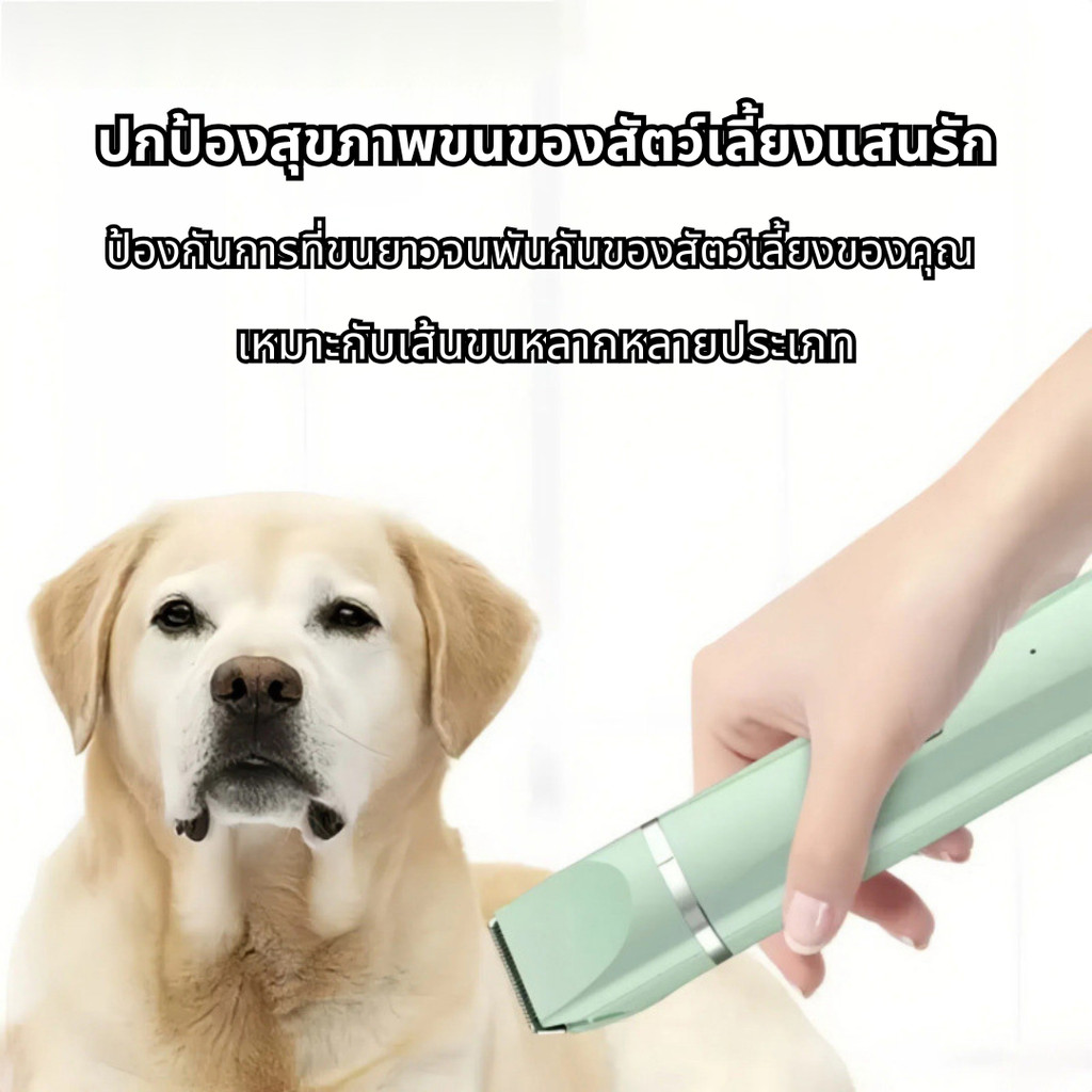 รูปภาพ 8