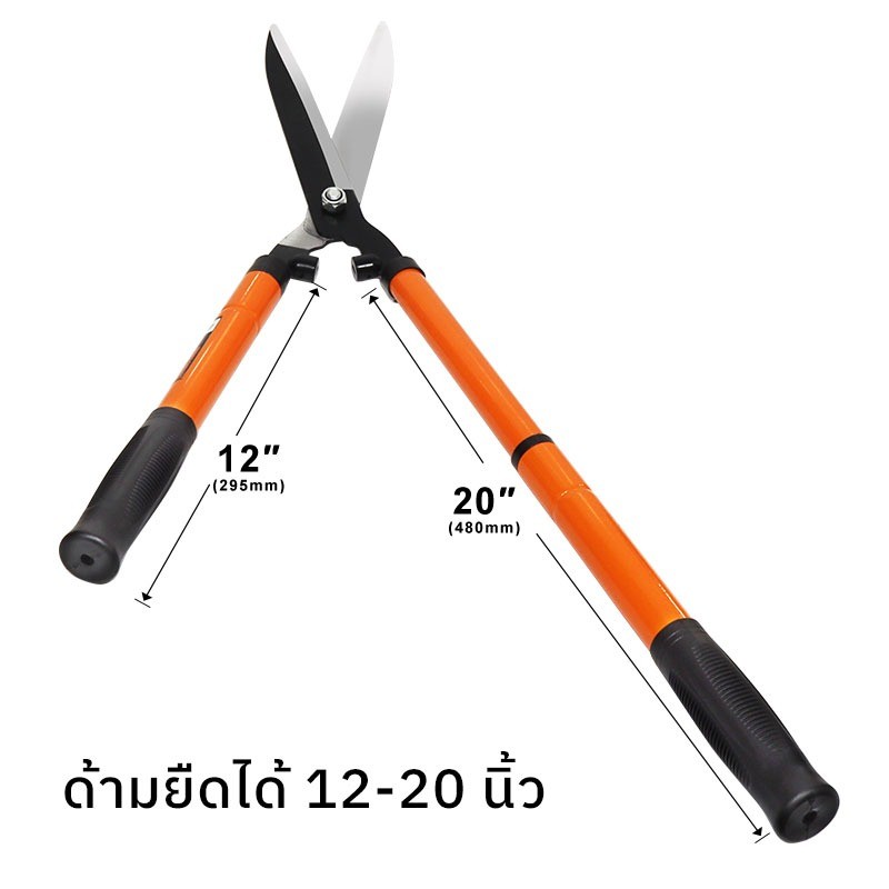 MUSCLE COW กรรไกรตัดหญ้า สามารถยืดได้หดได้ ด้ามเหล็กหุ้มพลาสติก เหมาะสำหรับตัดกิ่งที่สูง กรรไกรตัดกิ่ง กรรไกรตัดต้นไม้ - รูปที่ 3