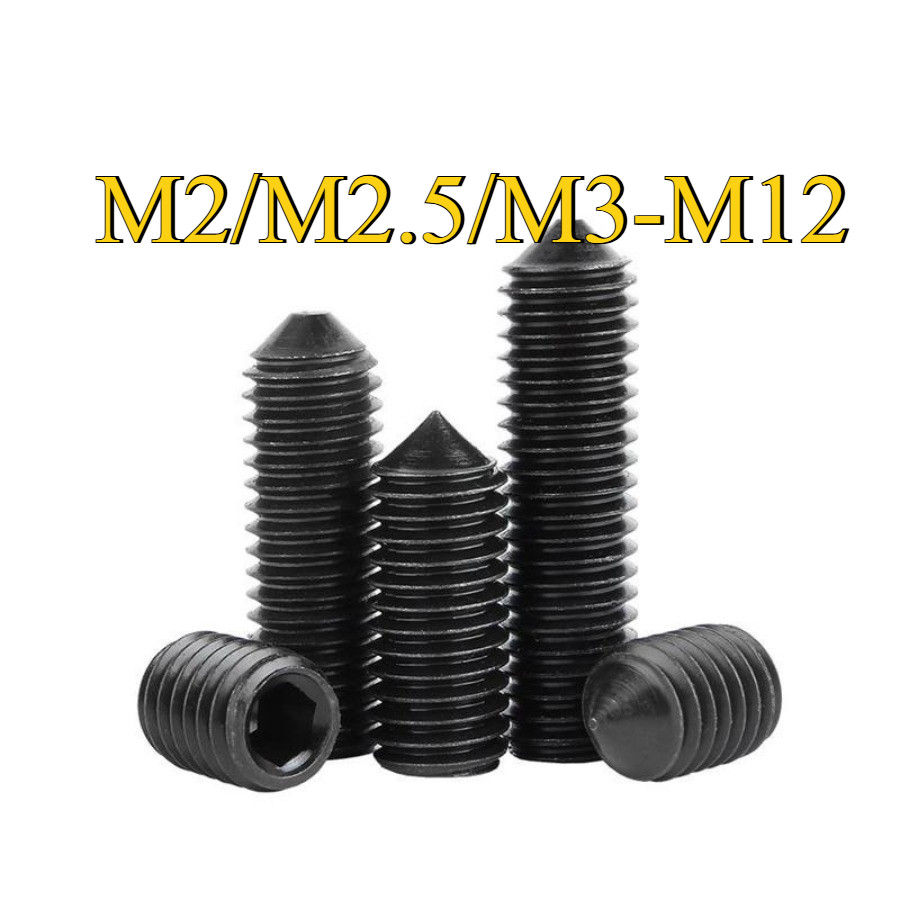 12.9 Grade Pointed Edge Fixing Screw/Fixing Screw M2/M2.5/M3-M12 (YL-VN)