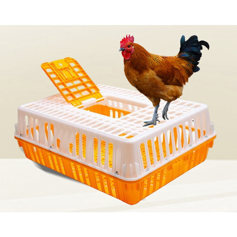 Bakul Ayam Ternakan Bakul Transport Ayam Chicken Transport Crate Plastik for Live Chicken Spacious E