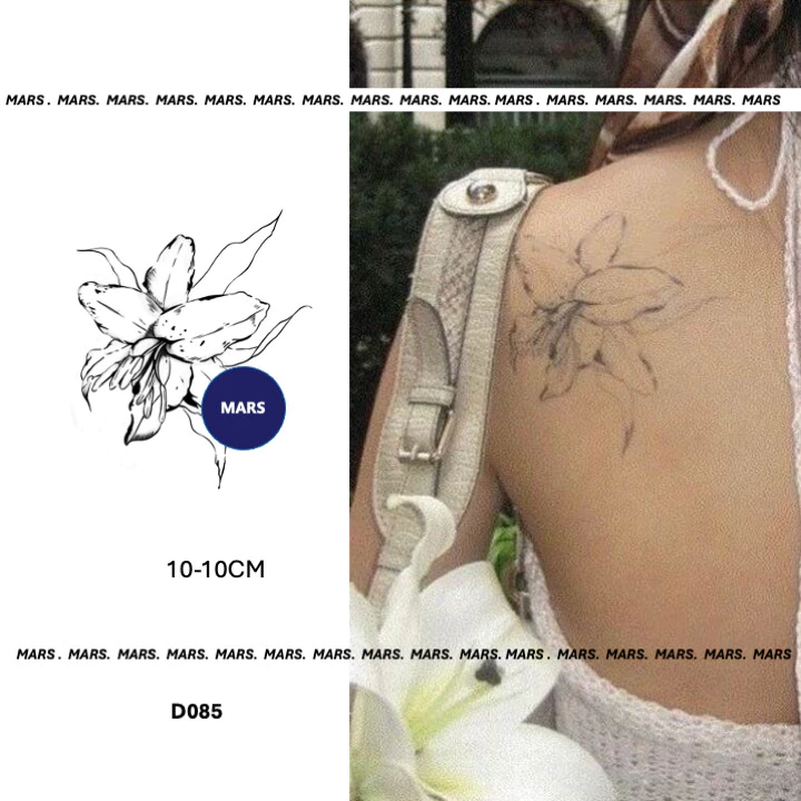 Mars TattooNEW Technology Magic Long Lasting 2 สัปดาห์, รอยสักกึ่งถาวร, สติ๊กเกอร์รอยสักชั่วคราว, รอยสักปลอม, ดาว, Girl Stuff, ดอกไม้, D085