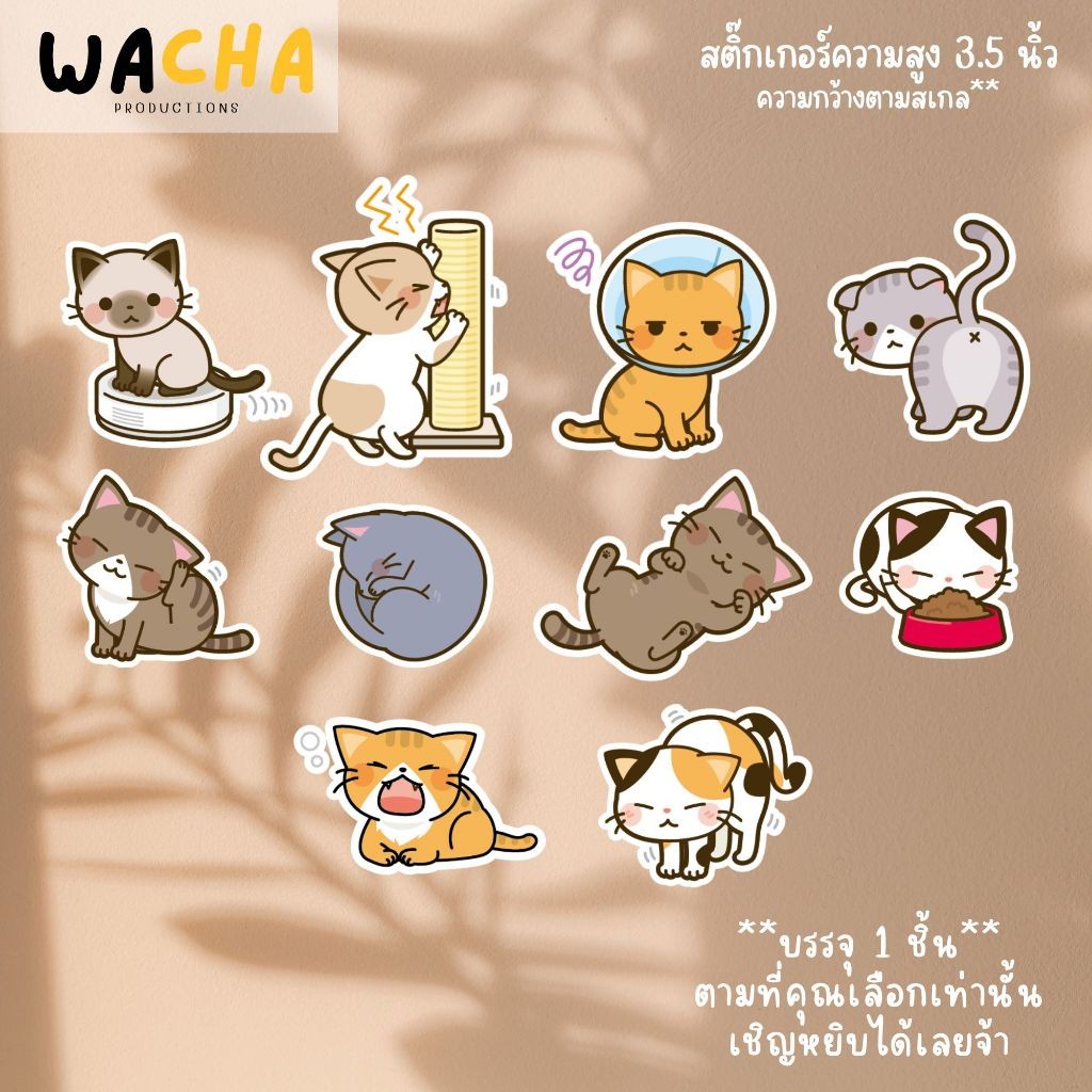 ขายแยกชิ้น สติ๊กเกอร์แมว แมวน่ารัก กันน้ำ ขนาดสูง 9 cm สติ๊กเกอร์ตกแต่ง ติดเคส ติดกระเป๋า ติดไอแพด