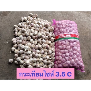 K35 กระเทียมปองหัว 3.5เซน น้ำหนัก9-10 กิโล ยกกระสอบ
