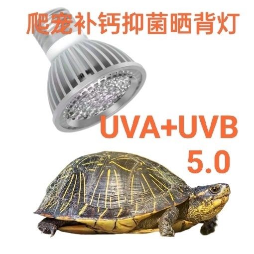 UVB5.0 Turtle Lizard Climbing Pet อาหารเสริมแคลเซียม Long Light UVB+UVA+Sunlight 11.04