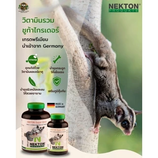Nekton Sugar Glider วิตามินรวมที่ออกแบบมาสำหรับชูการ์ไกลเดอร์โดยเฉพาะ ให้วิตามิน แร่ธาตุ และกรดอะมิโนที่จำเป็น