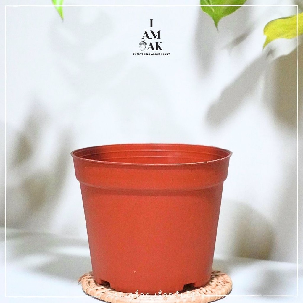 มุมมอง 4