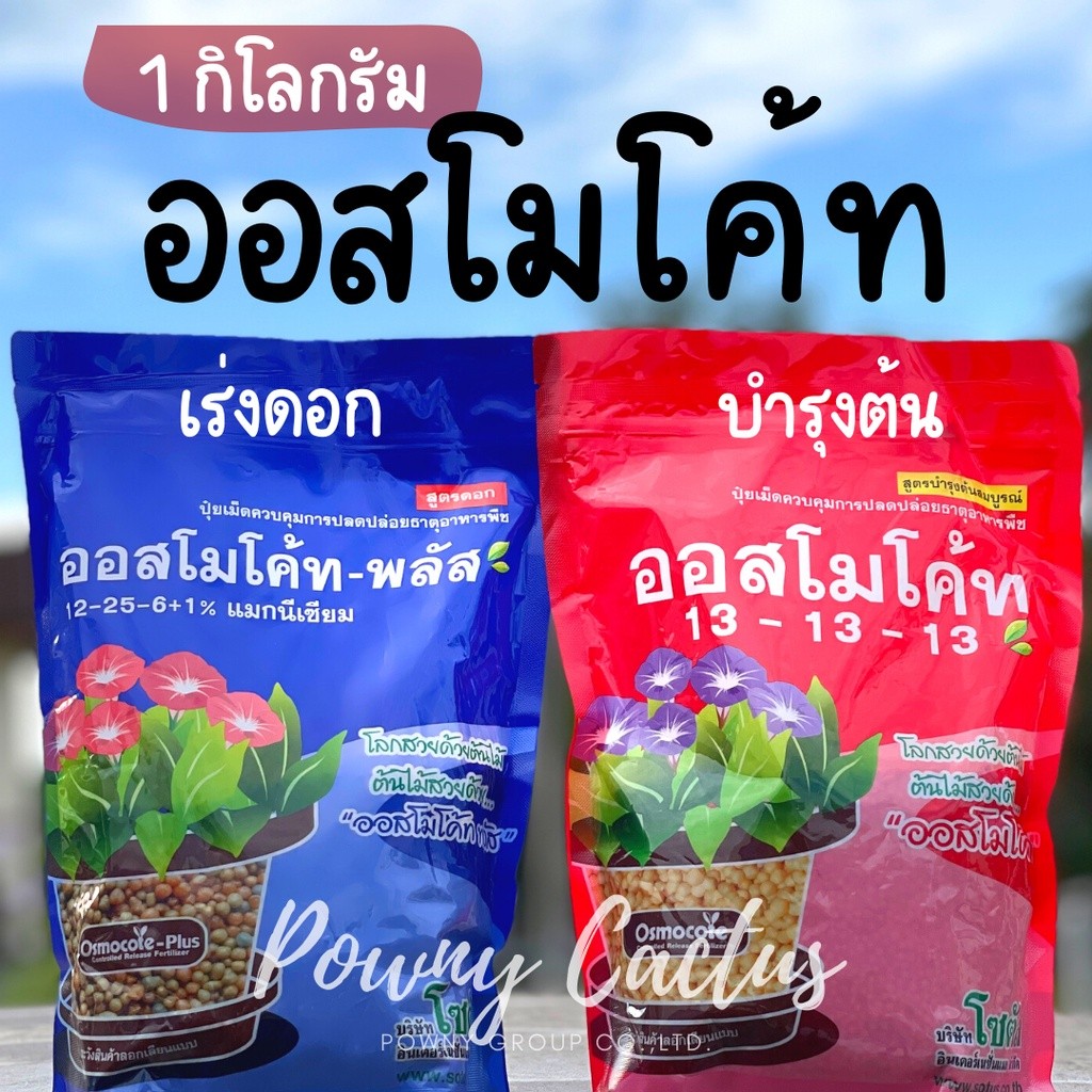 ปุ๋ยออสโมโค้ท ปุ๋ยละลายช้า บำรุงต้น เร่งดอก ขนาด 1 กิโลกรัม 13-13-13 และ 12-25-6