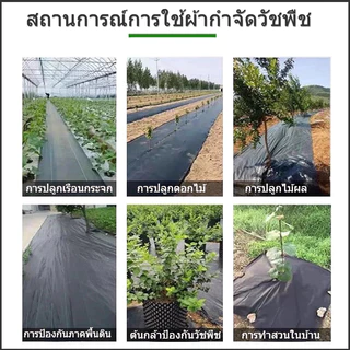 พลาสติกคลุมดิน(เกรด A) ผ้าคลุมดิน พลาสติกคลุมหญ้า ฆ่าหญ้า 50 เมตร 100 เมตร คลุมวัชพืช ผ้าคลุมหญ้า กําจัดหญ้า
