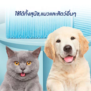 🐱พร้อมส่ง🐱 Happy Purr Happy purr แผ่นรองฉี่สุนัข แมว แผ่นรองสัตว์เลี้ยง ซึมซับได้ดี ช่วยฝึกขับถ่ายระงับกลิ่น ขนาด M/L/XL