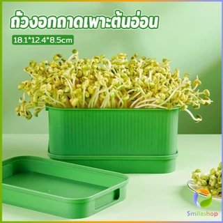 กล่องเพาะถั่วงอก ถาดเพาะต้นอ่อน ไม่ต้องใช้ดิน นำกลับมาใช้ใหม่ได้ 1ชุด bean sprouts tray