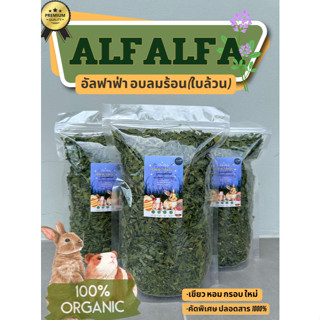 (ส่งฟรี) อัลฟาฟ่าคัดใบล้วน หญ้าอบลมร้อน หญ้ากระต่ายAlfalfa เ…
