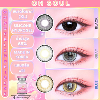 🔥คอนแทคเลนส์ ❤️Size : XL❤️ รุ่น Oh soul (Kissylens) สี : Brown / Gray