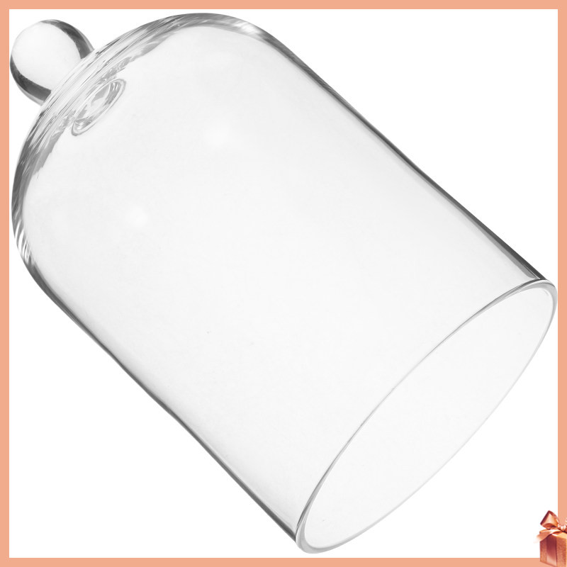 Diffuser Cloche Immortal Flower Display Dome พร้อมฐานกระจกตกแต่ง dliyuanai