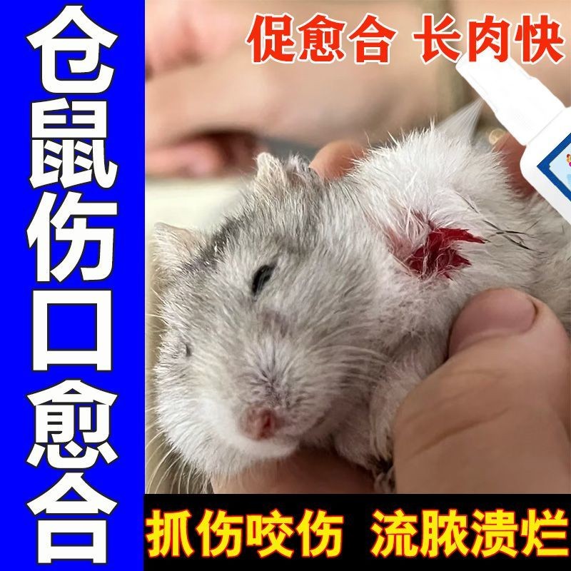 ทําความสะอาดสัตว์เลี้ยง ทําความสะอาดสัตว์เลี้ยง Golden Bear Wound Healing Spray เพื่อนบ้านของฉัน Tot