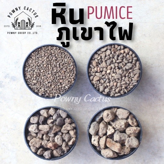 ส่งทันที! หินภูเขาไฟ แบ่งขาย 1 ลิตร Pumice Stone รองก้นกระถาง ผสมดินปลูก หินทำถุงหอม