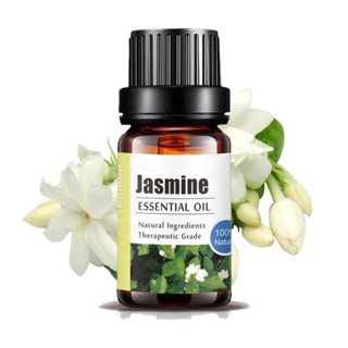 Aliztar 100% Jasmine Essential oil 10 ml. น้ำมันหอมระเหย มะล…