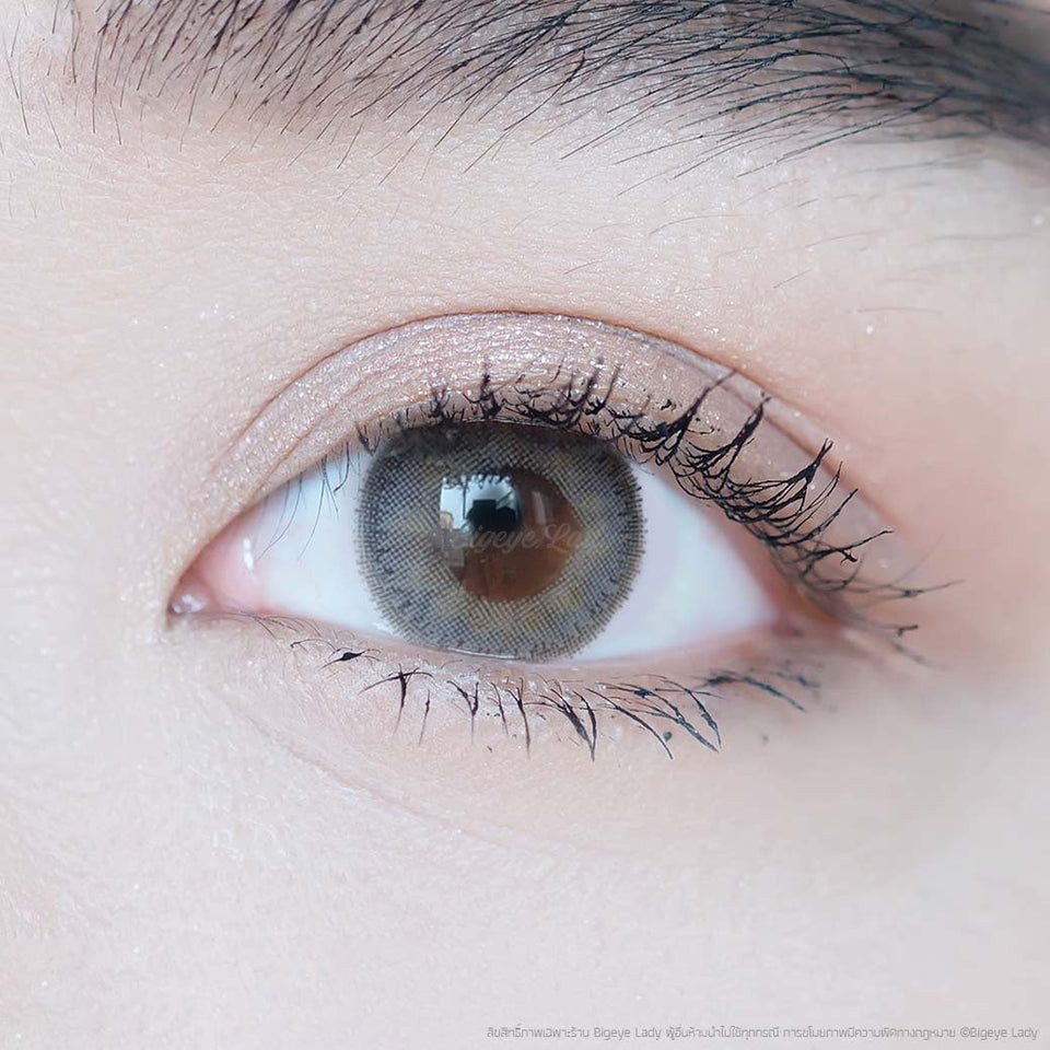 💥[ แถมตลับ Food grade ] Sheer (Gray) ค่าสายตา 0.00-10.00 คอนแทคเลนส์