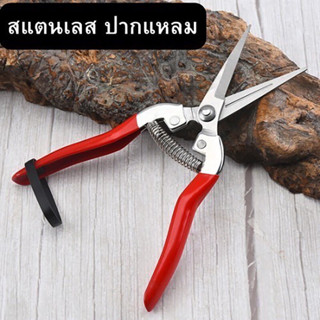 ZZ HOME01 กรรไกรตัดกิ่ง กรรไกรตัดดอกไม้  Pruning-shears-red