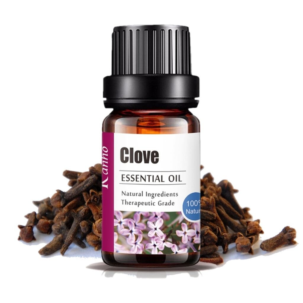 Aliztar 100% Pure Clove Essential Oil 10 มิล น้ำมันหอมระเหยกานพลูแท้ สำหรับอโรมาเทอราพี เตาอโรมา เครื่องพ่นไอน้ำ ผสมน...