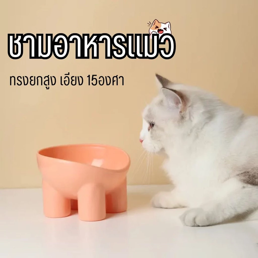 ชามพลาสติกสะตว์เลี้ยง สไตล์นอร์ดิก สําหรับใส่อาหารเเละน้ำ ชามยกสูงทรงสวย